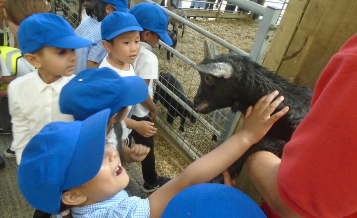 Image of News Report - Reception's Trip to the Farm
