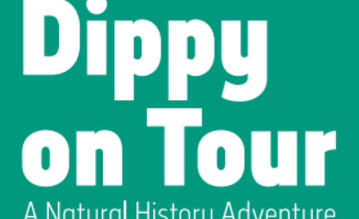 Image of Dippy on Tour!